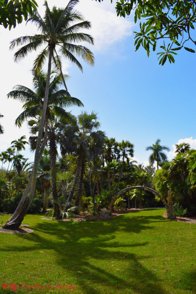 Los Fairchild Tropical Gardens, cómo no, repletos de palmeras