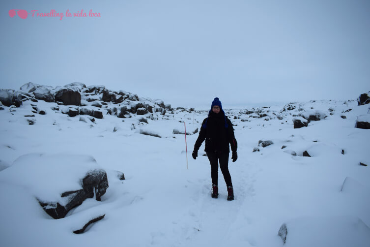 La caminata hasta Dettifoss, con el camino totalmente nevado, pero con estacas para saber por donde ir